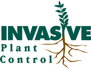 Invasive Plant Control